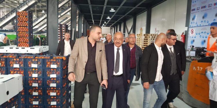 الحاصلات البستانية