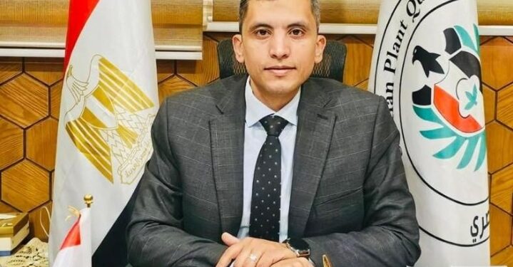 «الحجر الزراعي» ينشر بيان كميات تقاوي البطاطس المستوردة 1 تقاوي البطاطس