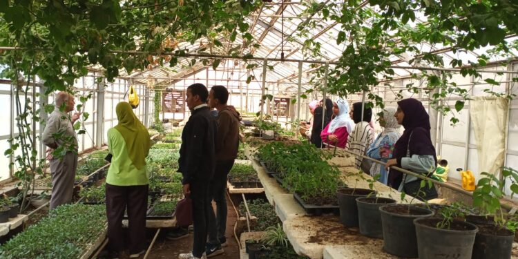 "المركزي للمناخ" ينظم برنامج تدريبي حول تقنيات زراعة الخضر في الصوب الزراعية 1 المركزي للمناخ