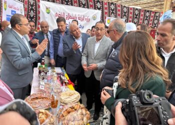 الوادي الجديد