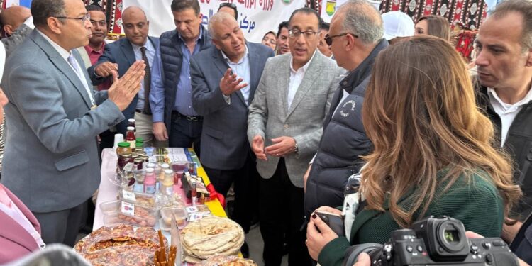 الوادي الجديد