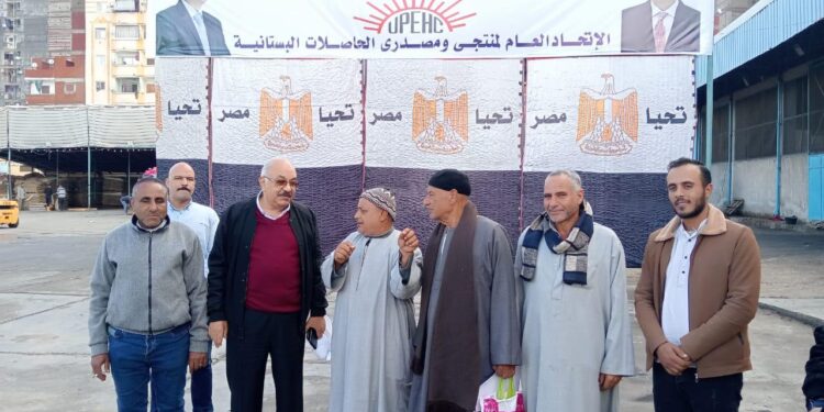 تقاوي البطاطس