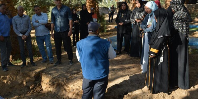 الزراعة: تعاون بين بحوث الصحراء والإيكاردا لتنفيذ مشروع الزراعة الصحراوية بتوشكي والوادي الجديد 1 بحوث الصحراء