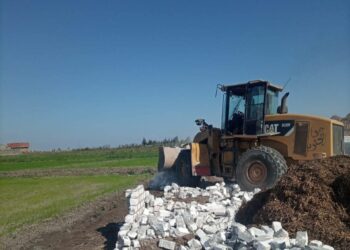 إزالة التعديات بمديرية زراعة بورسعيد