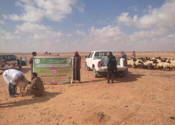 جهاز التنمية الشاملة