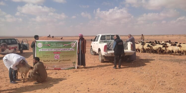 «جهاز التنمية الشاملة» يستعرض أنشطته في مطروح و يوزيع 100 طن تقاوى شعير بالمجان على المزارعين 1 جهاز التنمية الشاملة