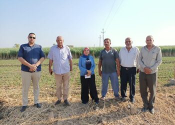 زراعة أسيوط