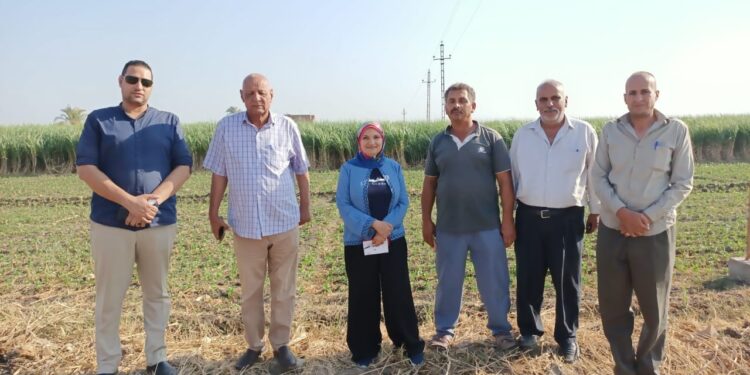 زراعة أسيوط