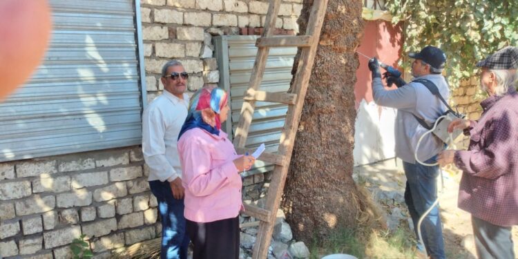 «زراعة أسيوط»: تزيل 12 حالة تعدي..وتقوم بحقن النخيل المصاب بسوسة النخيل 1 زراعة أسيوط