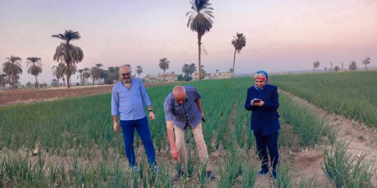 وكيل زراعة أسيوط يتفقد مركز تجهيز التقاوى ببنى غالب و الزراعات الشتوية 1 زراعة أسيوط