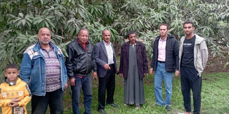 فرق إرشادية لمحصول المانجو وتدوير المخلفات الزراعية بـ«زراعة الإسماعيلية» 1 زراعة الإسماعيلية
