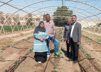 زراعة البحر الأحمر