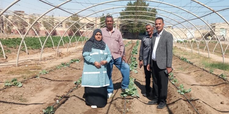 وكيل زراعة البحر الأحمر يتفقد الصوب الزراعية بسفاجا 1 زراعة البحر الأحمر