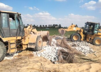 زراعة البحيرة