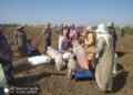 زراعة الدقهلية