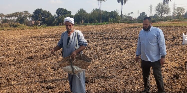 زراعة الشرقية