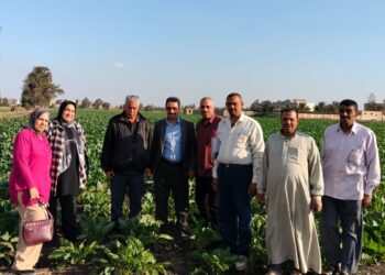 زراعة الشرقية