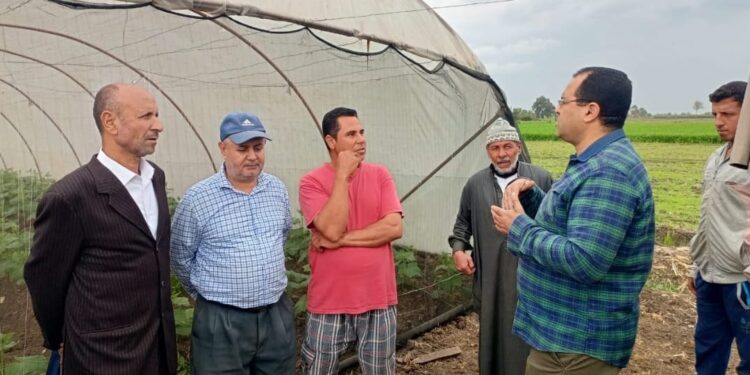 فرق إرشادية لـ«الخيار و الإنتاج الحيواني»..«زراعة الغربية» تقوم بجرد مخازن الجمعيات 1 زراعة الغربية