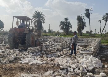 زراعة الفيوم