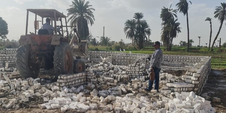 زراعة الفيوم