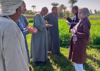 زراعة الفيوم