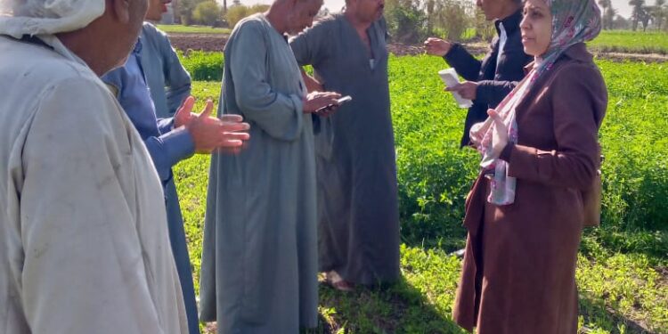 «زراعة الفيوم» توصي بأهمية مواجهة التغيرات المناخية ومكافحة الحشائش لمحصول القمح 1 زراعة الفيوم