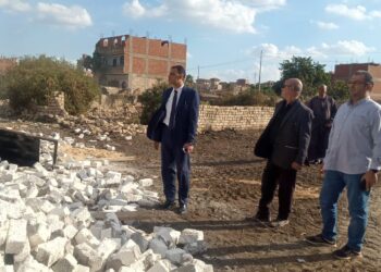 زراعة القليوبية