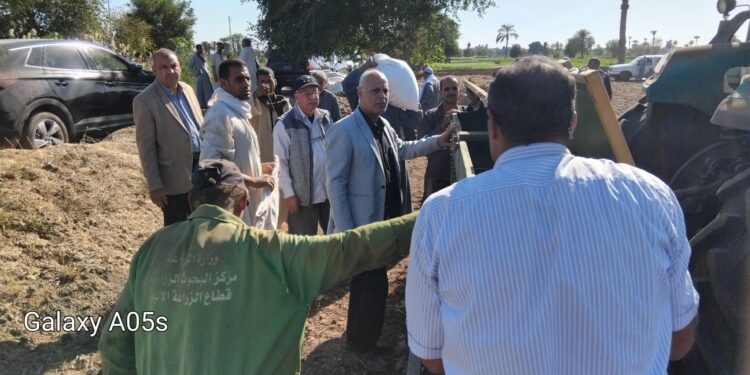 «زراعةالمنيا» تنتهي من تحديد الحقول الإرشادية لمحصول القمح 1 زراعةالمنيا