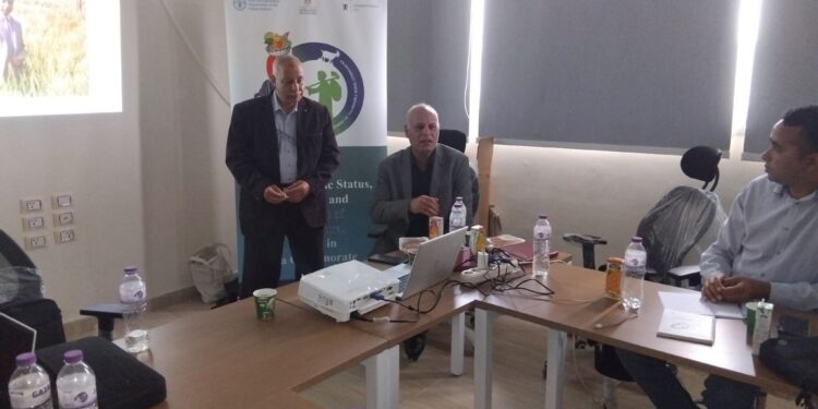 «زراعة المنيا»: توجه مهندسي الإرشاد بتغيير ثقافة المزارعين لتبني زراعة مصاطب واستخدام الميكنة لمحصول القمح 1 زراعة المنيا