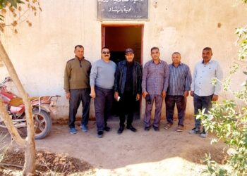 زراعة الوادي الجديد