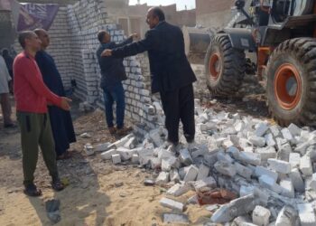 زراعة بني سويف