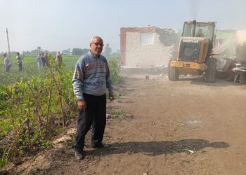 زراعة بني سويف