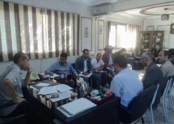 زراعة بورسعيد