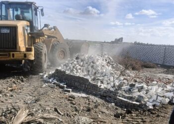 زراعة بورسعيد