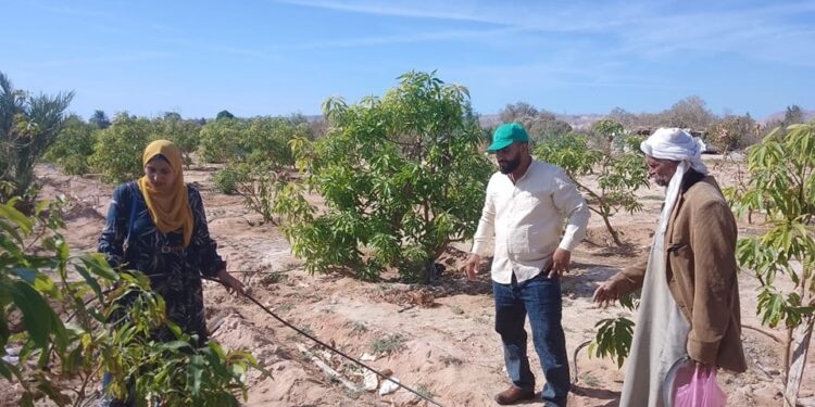 زراعة جنوب سيناء»