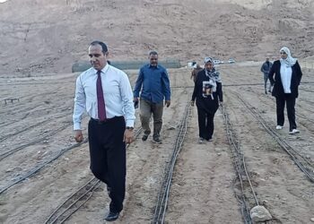 زراعة جنوب سيناء