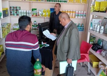 زراعة كفر الشيخ