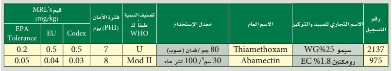 صانعات الأنفاق