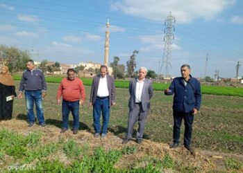 زراعة الشرقية