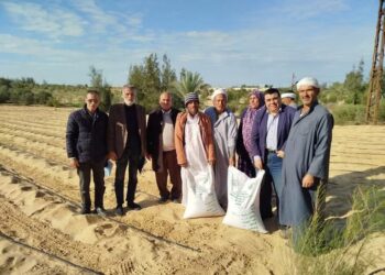 زراعة شمال سيناء