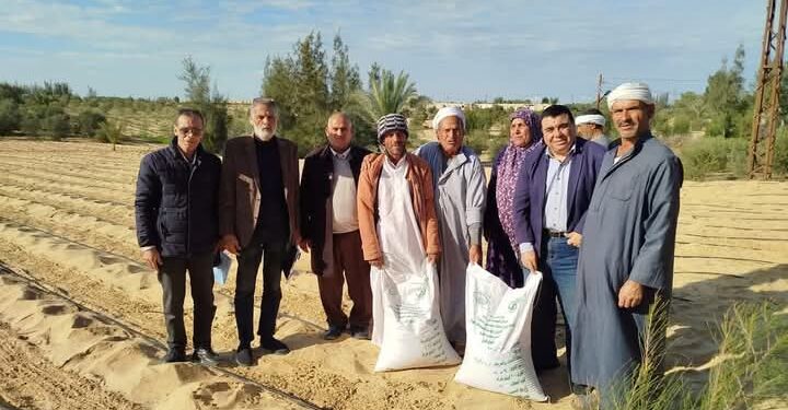 «زراعة شمال سيناء» تقوم بتسليم و زراعة تقاوي القمح بالحقول الإرشادية برمانة وبئر العبد 1 زراعة شمال سيناء