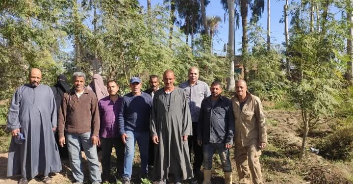 «زراعة القليوبية» تنفذ 3 ندوات إرشادية لمحاصيل الموالح والفواكه المتساقطة والنباتات الطبية 1 زراعة القليوبية