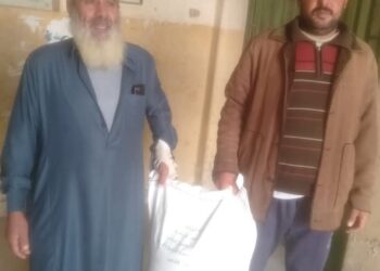 زراعة الإسكندرية