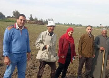 زراعة الشرقية