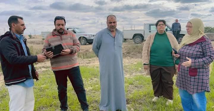 «زراعة بورسعيد»: فريق إرشادي للقمح ..وندوات و زيارات ميدانية لبنجر السكر 1 زراعة بورسعيد