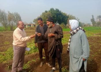 البحوث الزراعية ينظم فرق إرشادية بزراعة المنيا