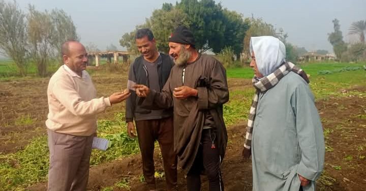 «البحوث الزراعية» ينفذ 4 فرق إرشادية للقمح والبطاطس بـ«زراعة المنيا» 1 البحوث الزراعية ينظم فرق إرشادية بزراعة المنيا