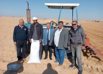 زراعة شمال سيناء