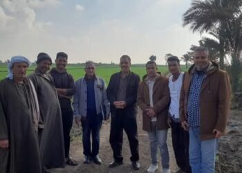 زراعة بورسعيد