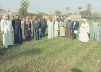 زراعة بني سويف